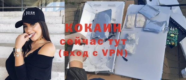 прущая мука Горняк