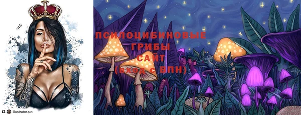 прущая мука Горняк