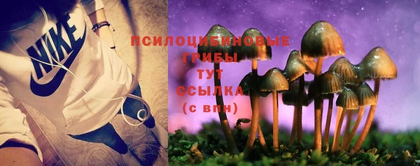 прущая мука Горняк