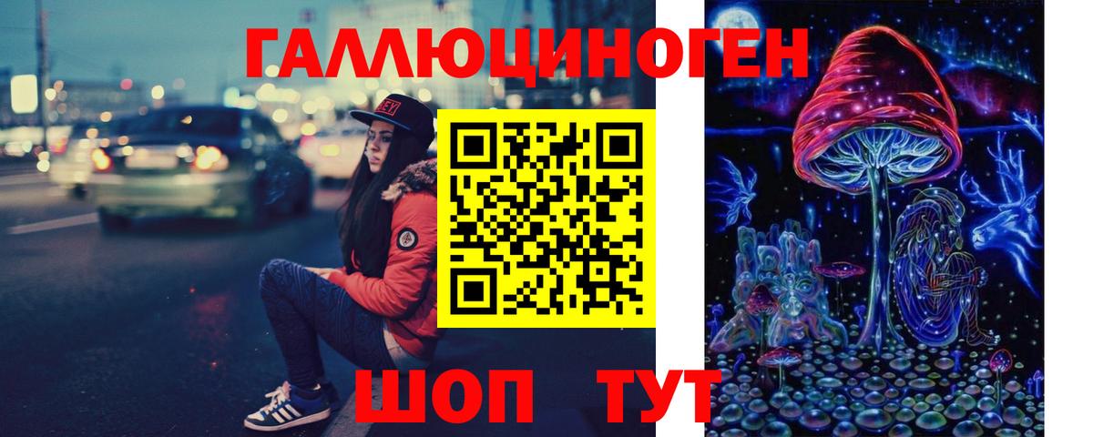 Псилоцибиновые грибы Psilocybe Раменское