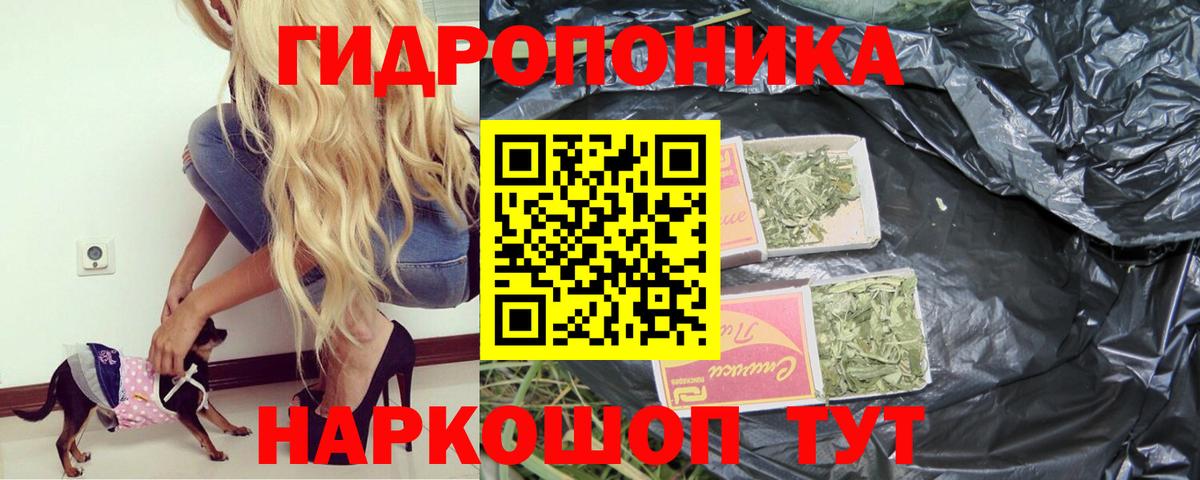 Конопля сатива  Марихуана марихуана  Раменское  Каннабис планчик  Вход с VPN 